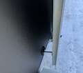 IMG_7877.jpeg